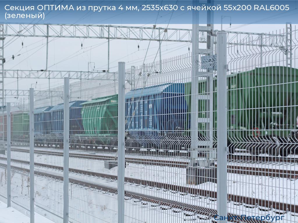 Секция ОПТИМА из прутка 4 мм, 2535x630 с ячейкой 55х200 RAL6005 (зеленый), https://sankt-peterburg.doorhan.ru