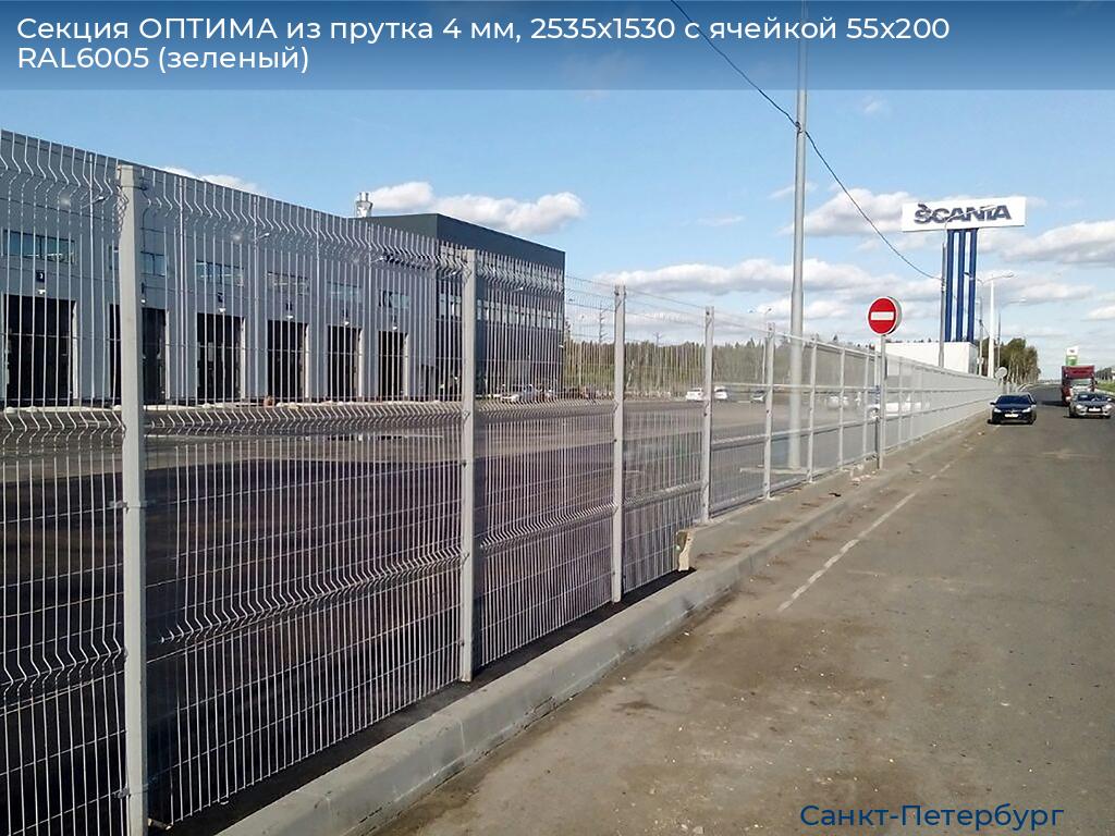 Секция ОПТИМА из прутка 4 мм, 2535x1530 с ячейкой 55х200 RAL6005 (зеленый), https://sankt-peterburg.doorhan.ru