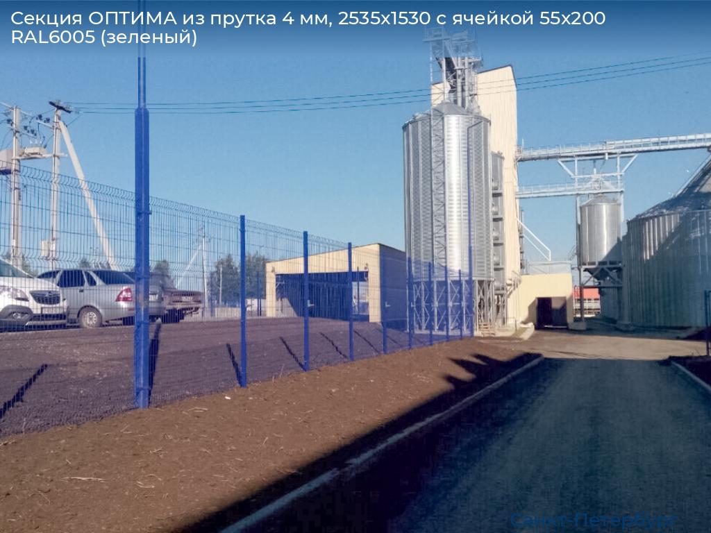 Секция ОПТИМА из прутка 4 мм, 2535x1530 с ячейкой 55х200 RAL6005 (зеленый), https://sankt-peterburg.doorhan.ru