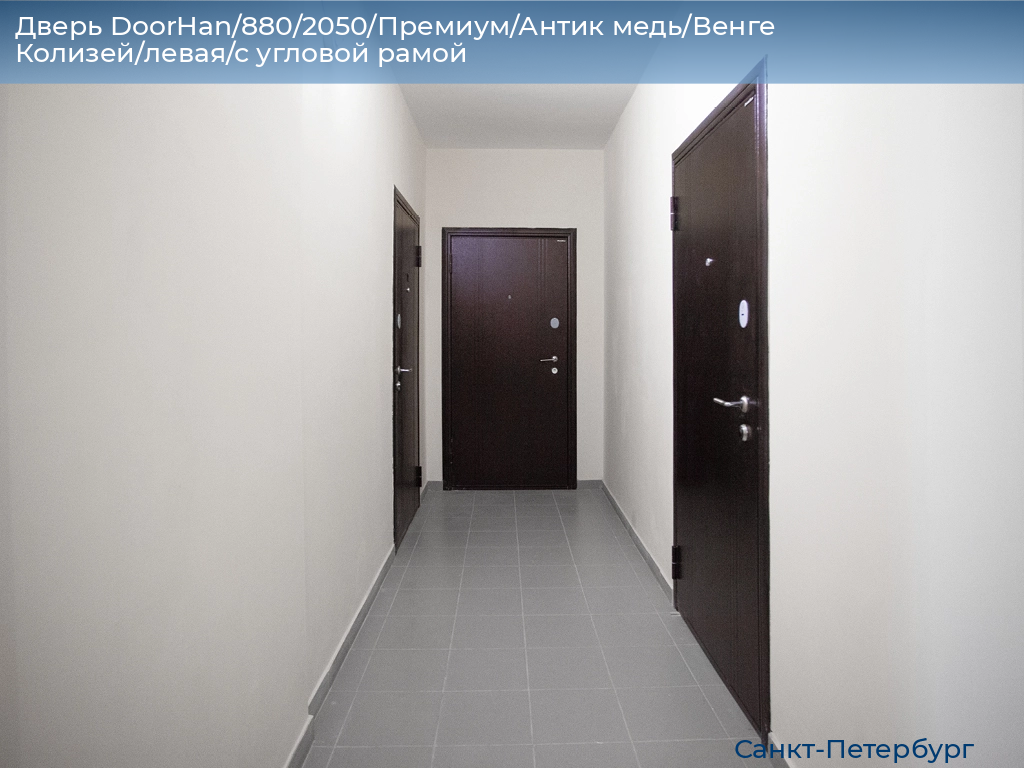 Дверь DoorHan/880/2050/Премиум/Антик медь/Венге Колизей/левая/с угловой рамой, https://sankt-peterburg.doorhan.ru