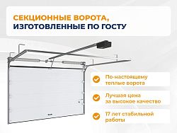 Секционные ворота 2500х2100 мм белые DoorHan rsd02