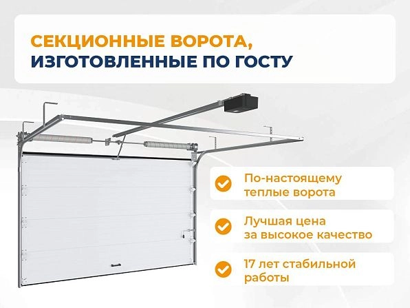 Cекционные ворота 2500х2100 мм антрацитовые DoorHan RSD02, https://sankt-peterburg.doorhan.ru